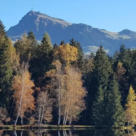 Happy Kitz - * Kitzbuhel